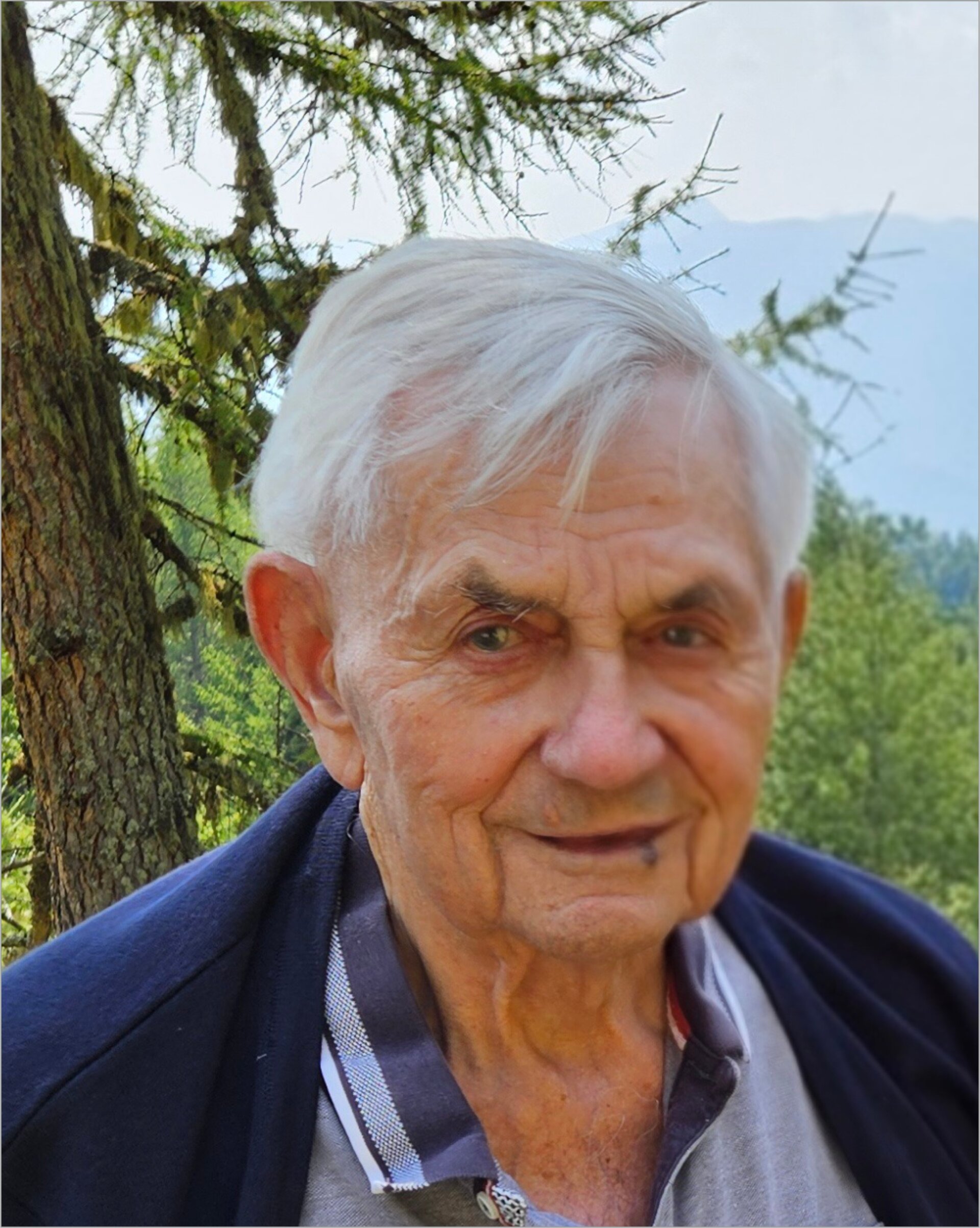 Holzbauer Peter AB .jpg