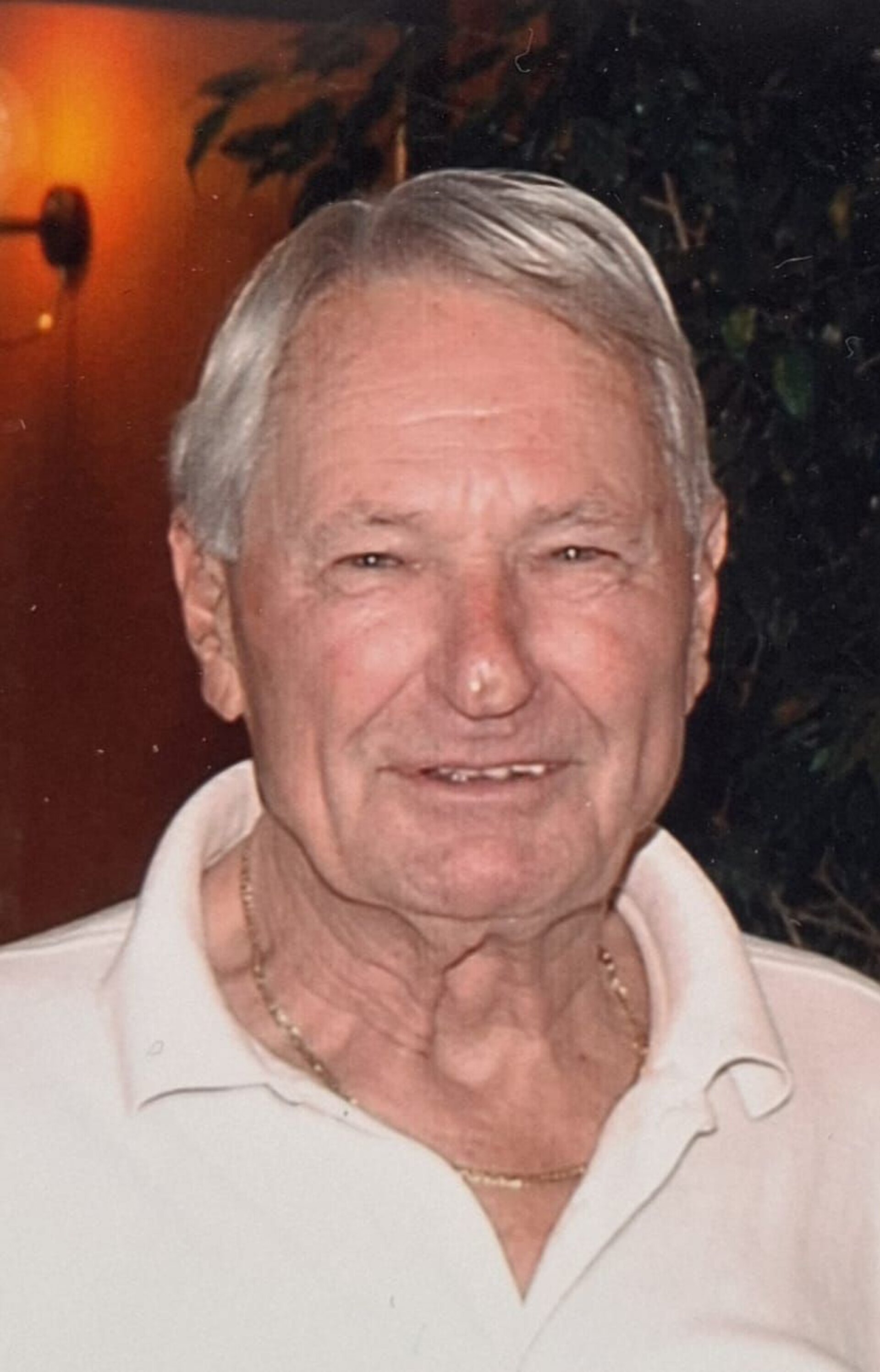 Lassnig Heinrich.jpg